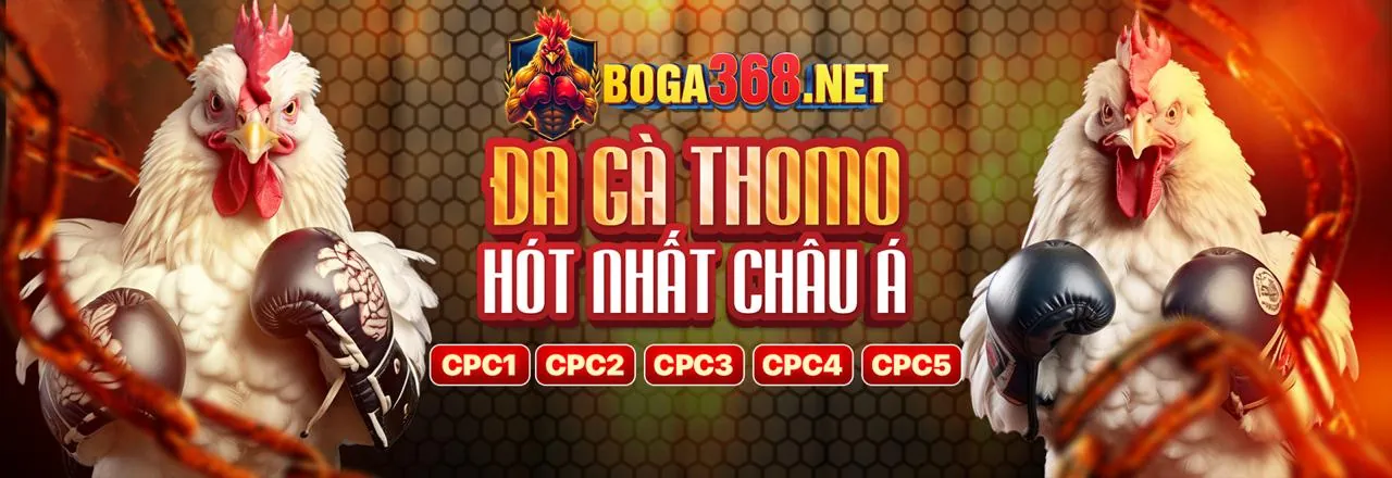 Sân Chơi Đá Gà Trực Tuyến MV67